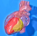 Kidney disease in patients with heart-related chest pain increases the mortality risk