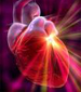 Riesgo coronario atribuible a los principales factores de riesgo cardiovascular