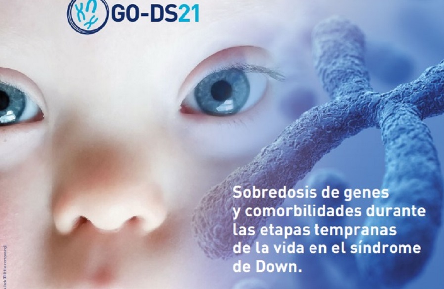 GO-DS21: Obesitat i síndrome de Down