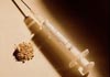 Heroin, a drug in decline?