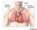 La función respiratoria está condicionada por los marcadores inflamatorios y el perfil genético